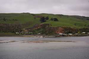 HARINGTON-POINT-DUNEDIN (13)